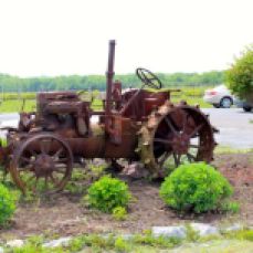 Love this old tractor in front of the winery